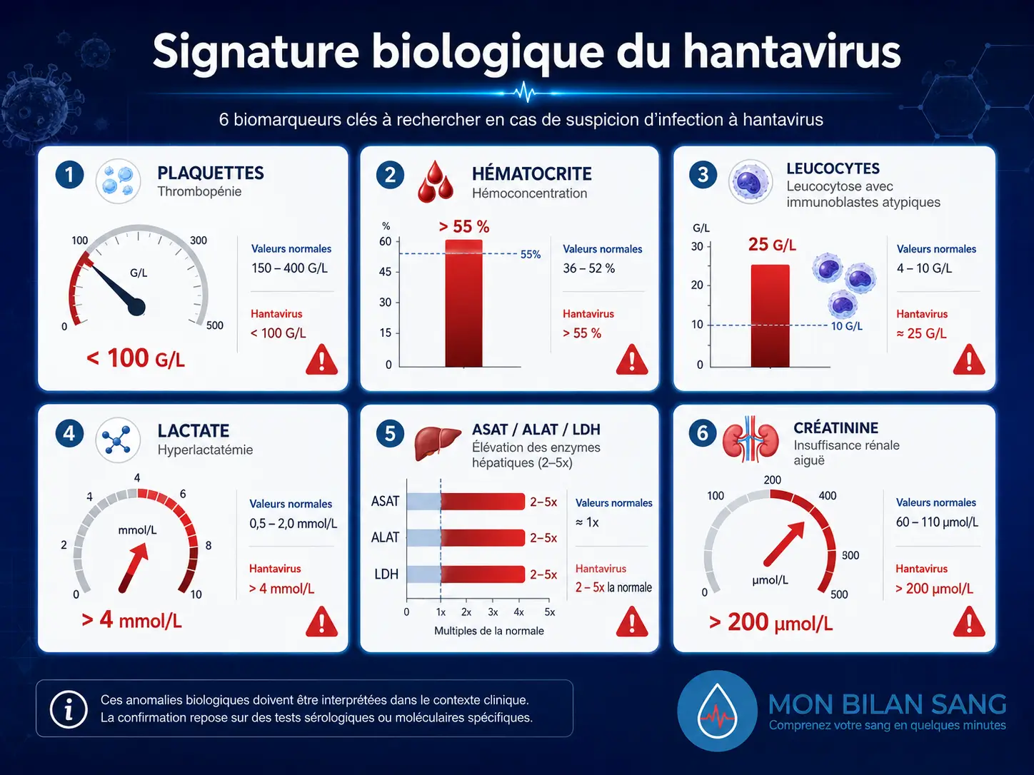 Tableau de bord clinique des biomarqueurs sanguins critiques évoquant une infection à hantavirus : thrombocytopénie inférieure à 150 G/L, hématocrite élevé (hémoconcentration), leucocytose avec immunoblastes circulants, lactate ascendant, élévation modérée des ASAT-ALAT-LDH, créatinine augmentée