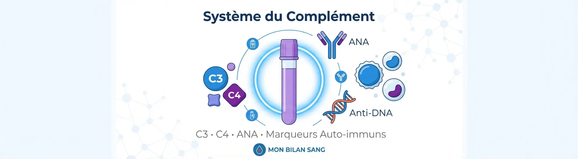 Illustration médicale représentant le système du complément avec les protéines C3 et C4, entourée de symboles d'anticorps et de cellules immunitaires