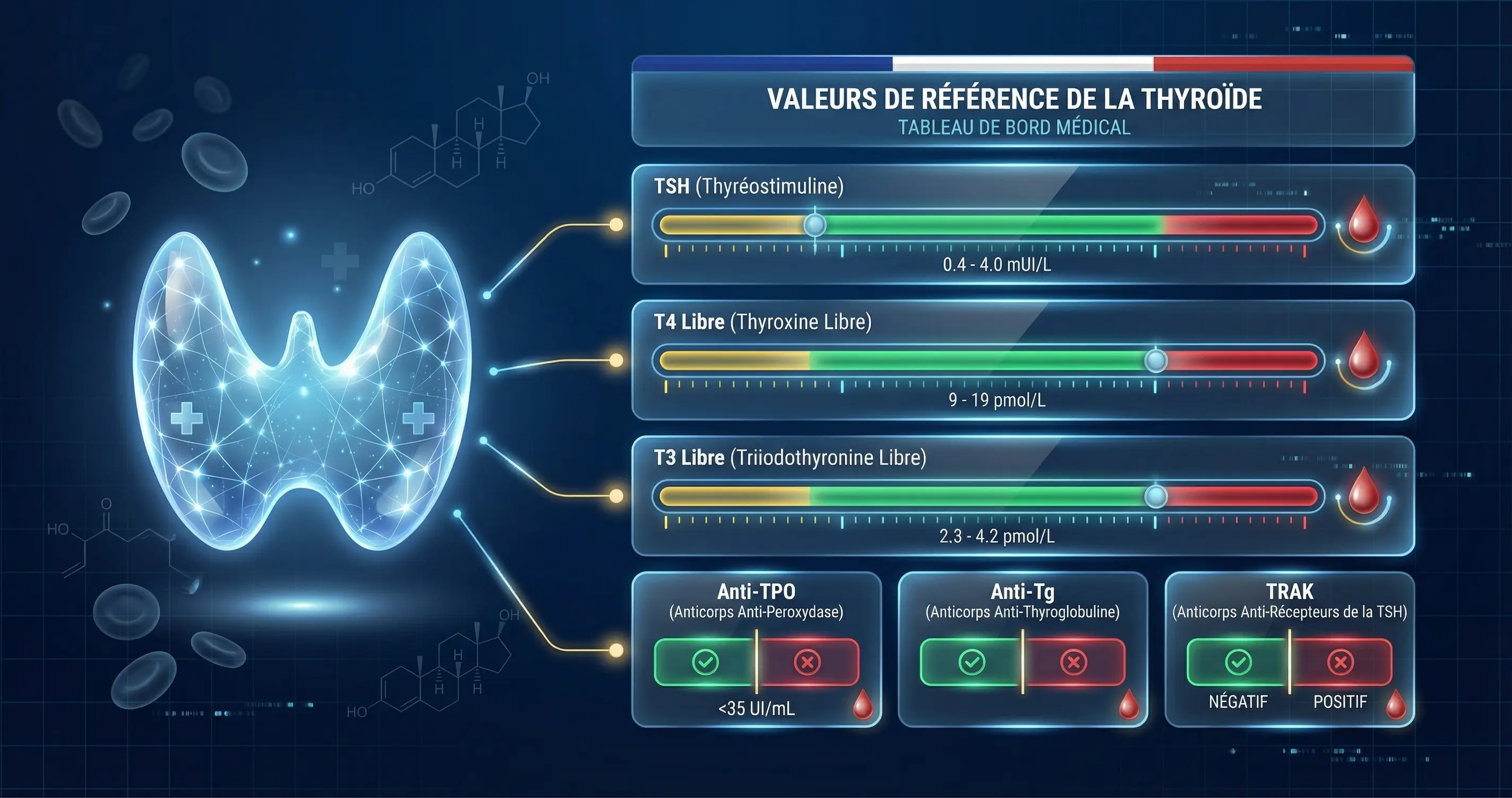 Tableau récapitulatif des valeurs normales du bilan thyroïdien en France - TSH, T3, T4, anticorps